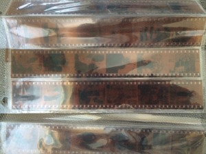 sheet of photo negatives